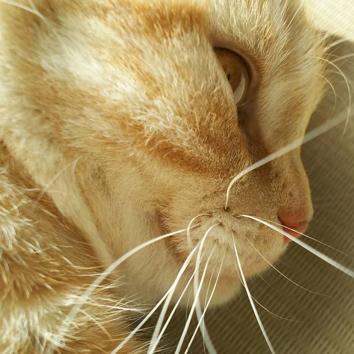 C9f388e4 7823 4777 ac9d 4be5061e4dcf