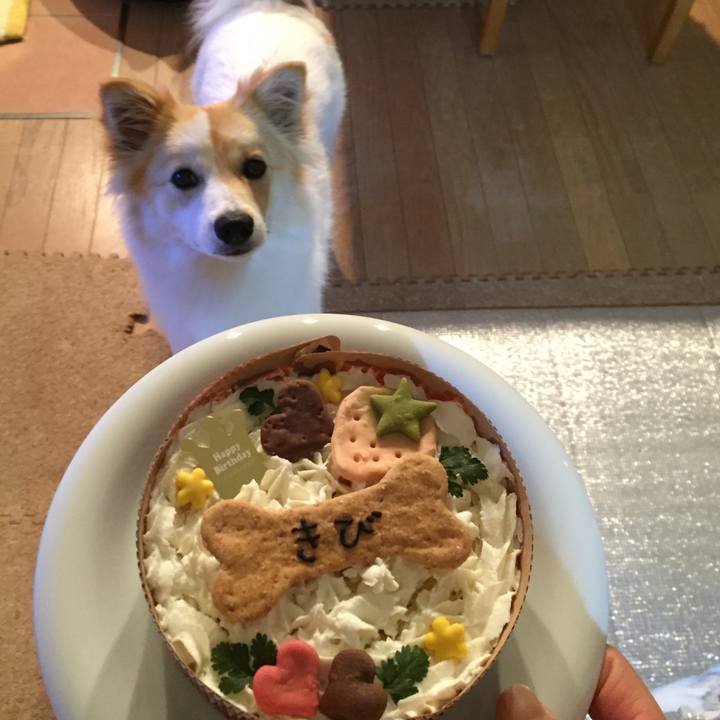 C9f38946 1ecc 4c63 950d 8240c0719bbb