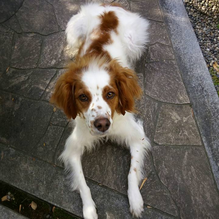 C9f39c67 8116 4bd6 884c 6a9d307fdf42