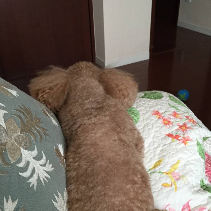 C9f3b827 c5fb 4668 a8f9 bb9f555c5f35