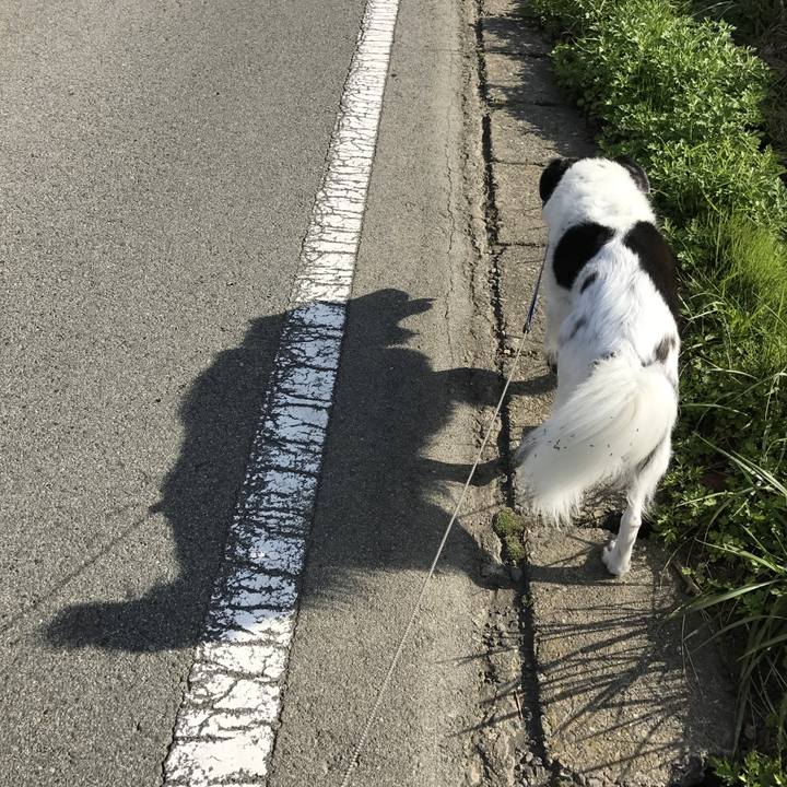 C9f3bb77 2ef0 426a a12d 54e89bb07a6a