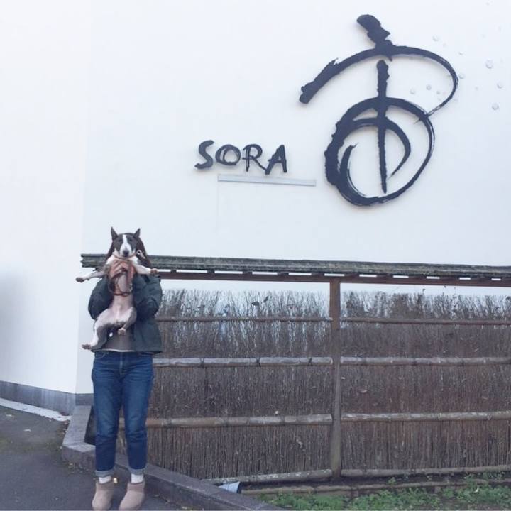 C9f3cf67 a3a4 4bb7 8374 58fe809d250f