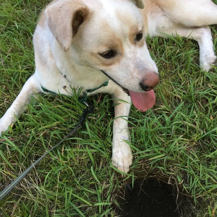 C9f3e70b ea96 48c0 ab9d 2fa0df804f17