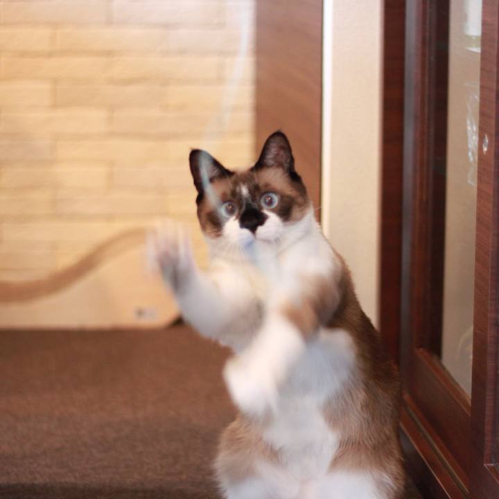 C9f411af f144 4719 9626 616ba86630a0