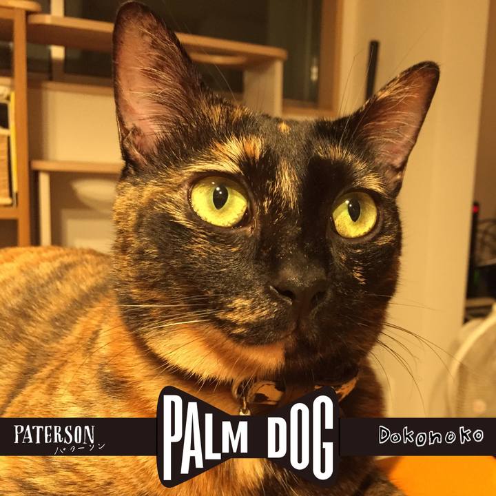 C9f4510d b79a 47f5 9e50 c11c76457975