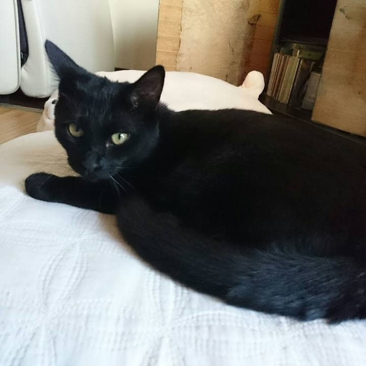 C9f4ac56 733c 4022 95c0 4b6820e6ac1f