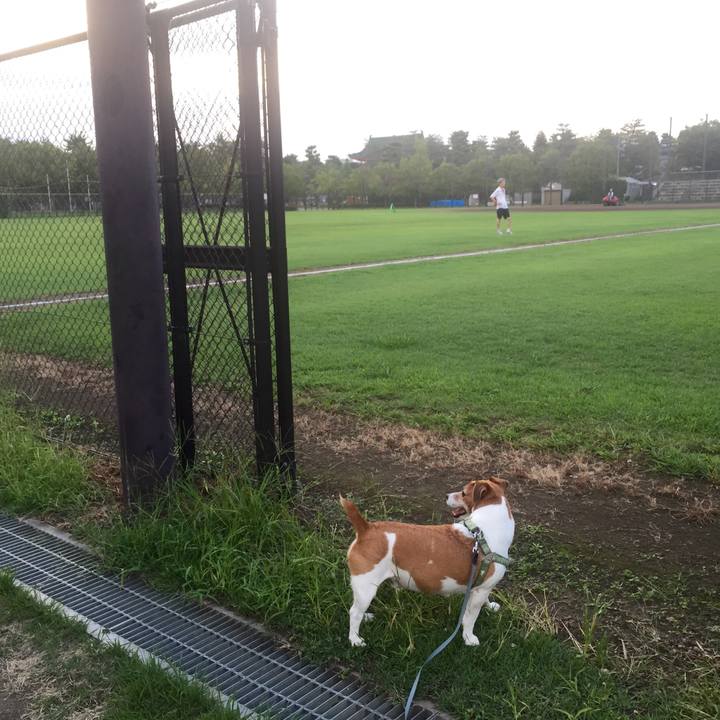 C9f4b16c b7ef 44a3 9f5d 19fe79de15e7