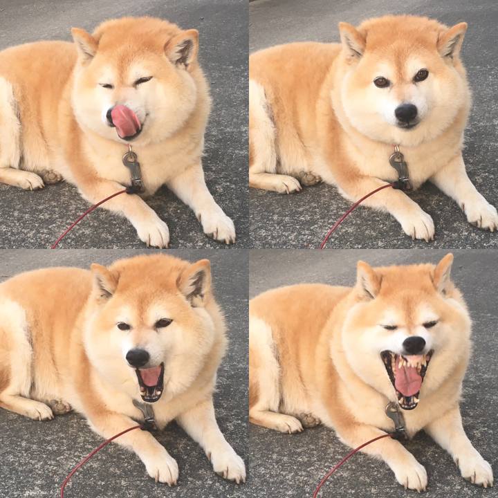 C9f4f2ee 0ed8 4b9a 97dd 04e4b7734588