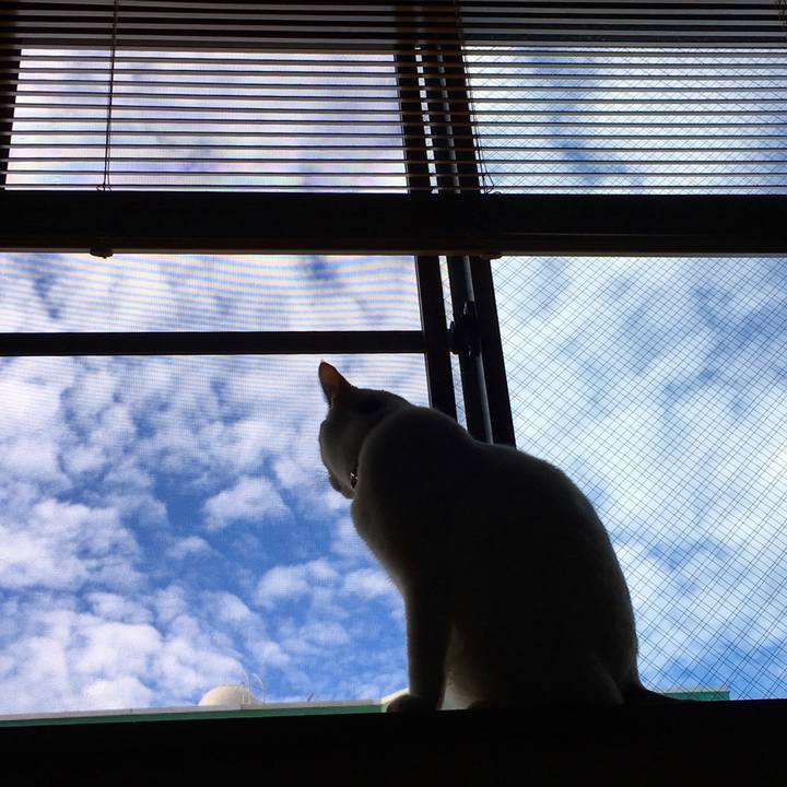 C9f4fb17 1df1 4261 8060 082ecff33c15