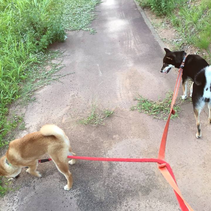 C9f5149b 4b16 4883 96e4 ed0a3816d28a