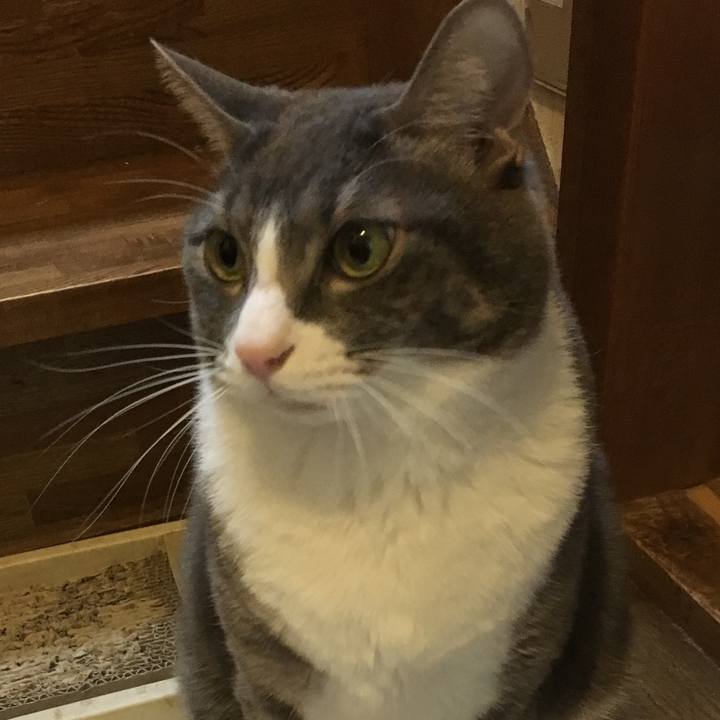 C9f57689 2961 4d12 94fc 2c82e1acf5f8