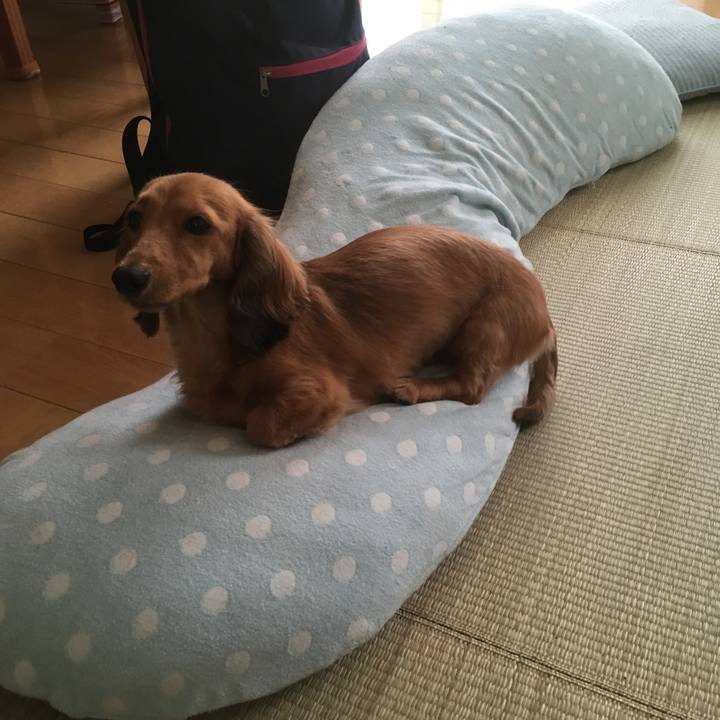 C9f81092 0703 48e1 962f 22032ae11137