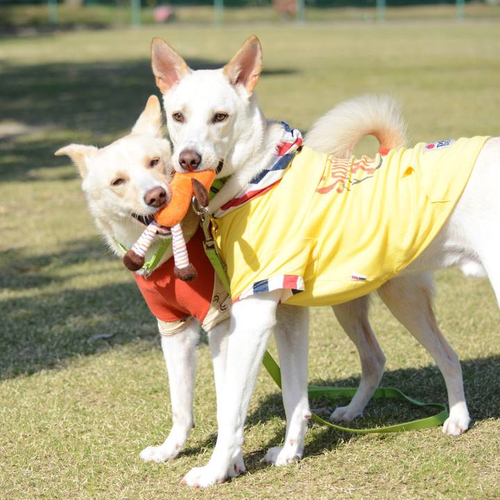 C9f830fb 06c4 4c57 86b8 e028961f0bec