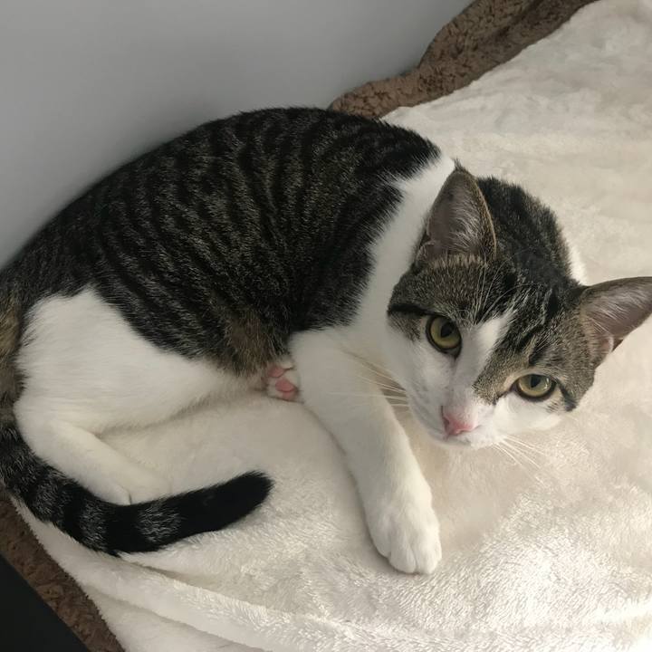 C9f8f0da 09e5 4642 92b4 d145ce35ca80