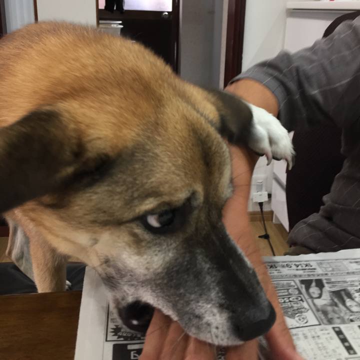 C9fa1d0e 1c12 4ad4 a2c4 750a070f34c2