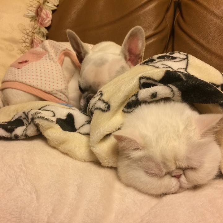 C9fa36a8 f188 49cc a73e f30be1584f6e