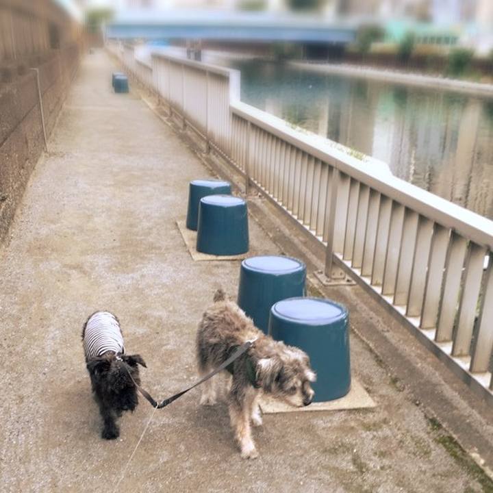 C9fa4c2e 37cb 4cc3 9735 99fcdb349c74