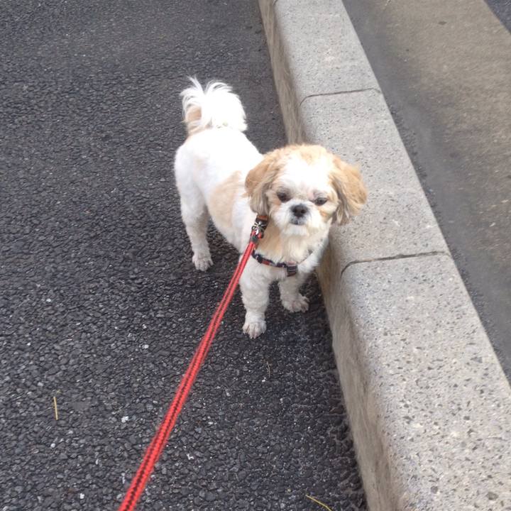 C9faaabe d53f 4e38 a1d8 c455e97f6146