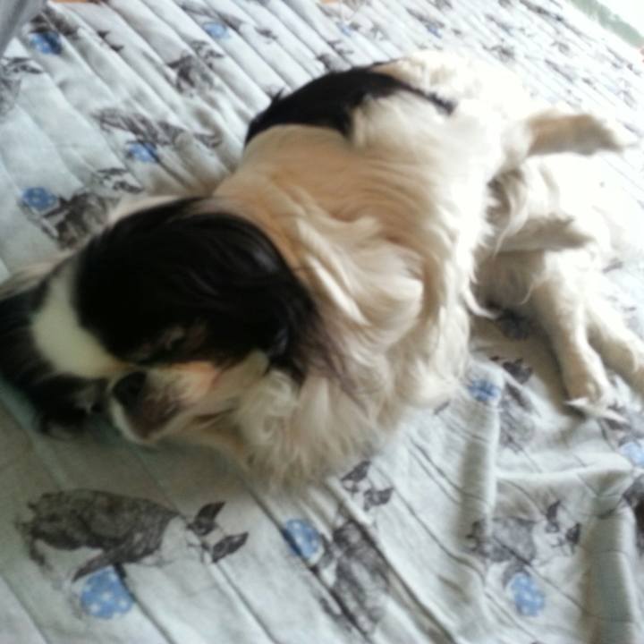 C9fb16a4 6cca 4ae2 b0d4 37f79ef83718