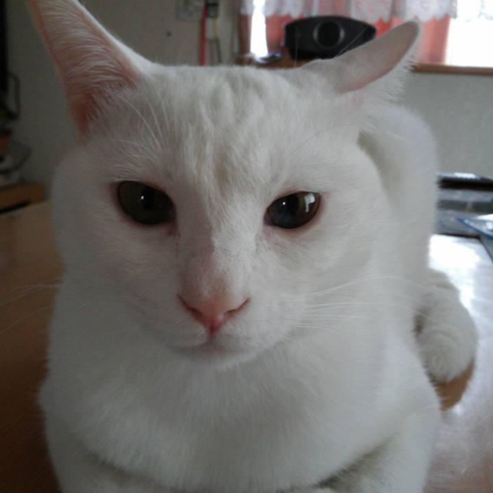 C9fbc2f4 b3fd 480c 95e8 f8bd5d93d4f9