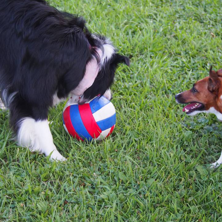 C9fbd846 3478 44f7 a5dd fbf30d96525b