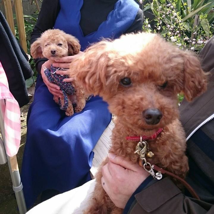 C9fbf7a2 0544 4320 b9bf 690cace50cae