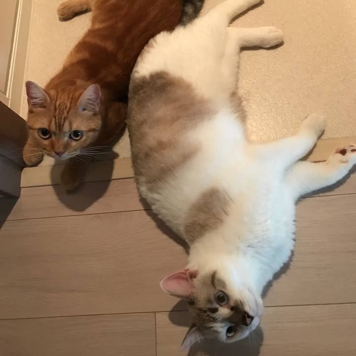 C9fbff1e 78a2 4eac 9cff f45b52c1bfba