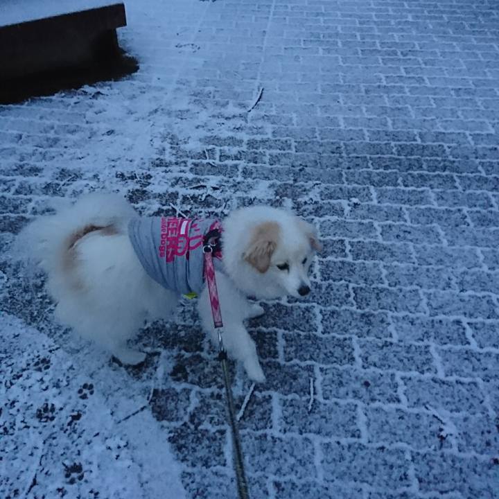 C9fc59c4 4281 403d 8808 4611aab18eb7