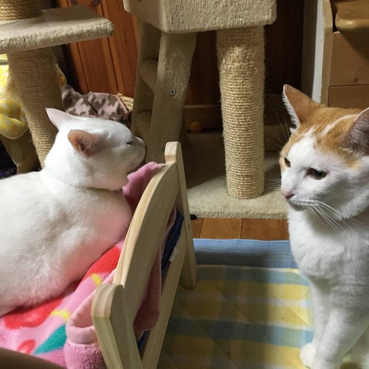 C9fcbfff ca5c 4cdb a6b9 9abbcb0552f2