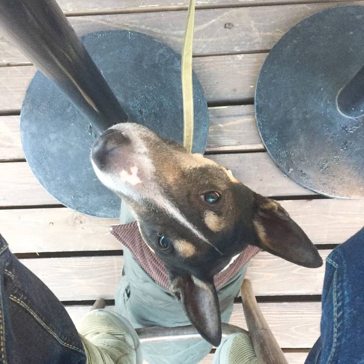 C9fd1350 f80c 42e7 904c fed811121152