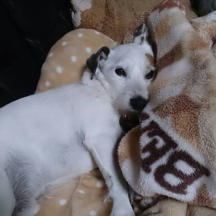 C9fd1b40 d2f8 47eb bee7 0c3dffd41aaf