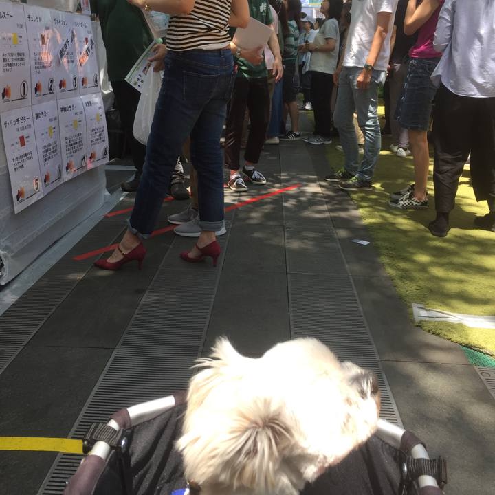 C9fdc969 0218 4a7a 9a50 5db3e29efadd