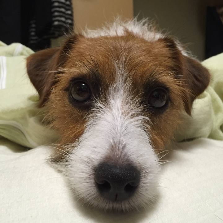 C9fde65e b538 4c51 8251 820111dba440