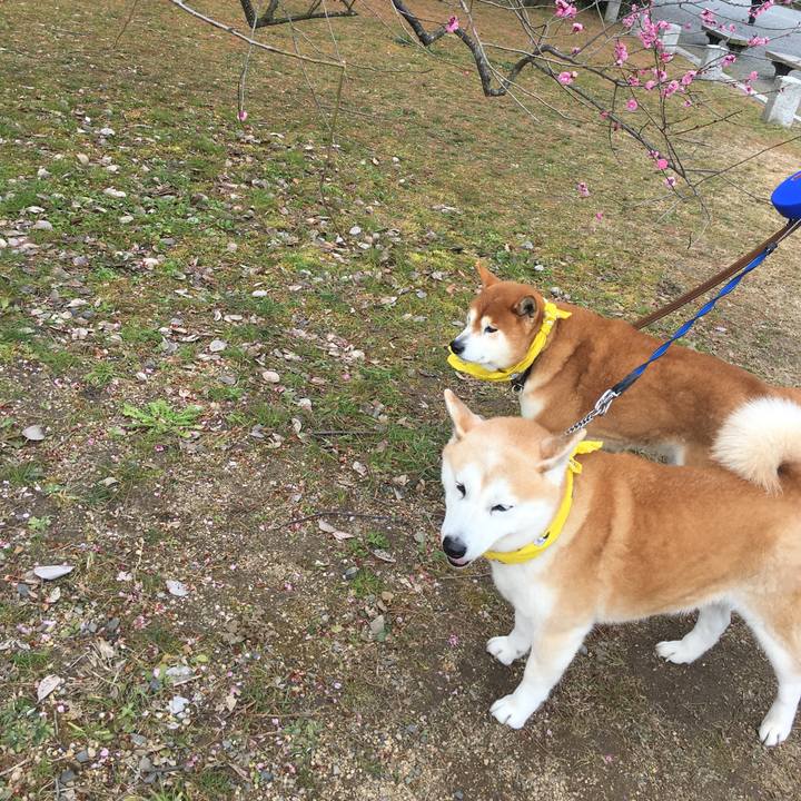 C9fdf7be fd4b 4956 980f 57e8b31d45cb