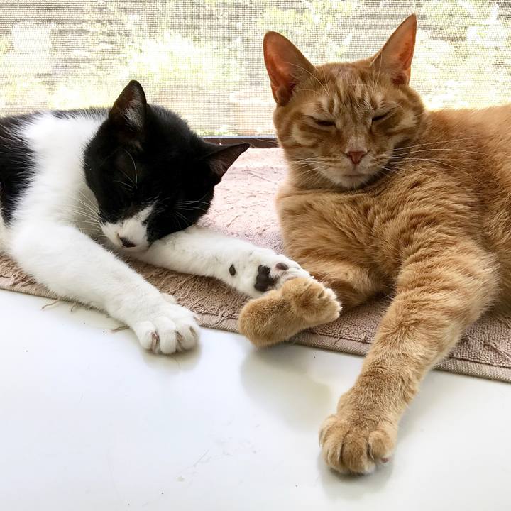 C9fdf889 997a 42b6 989f 426e98d188c5