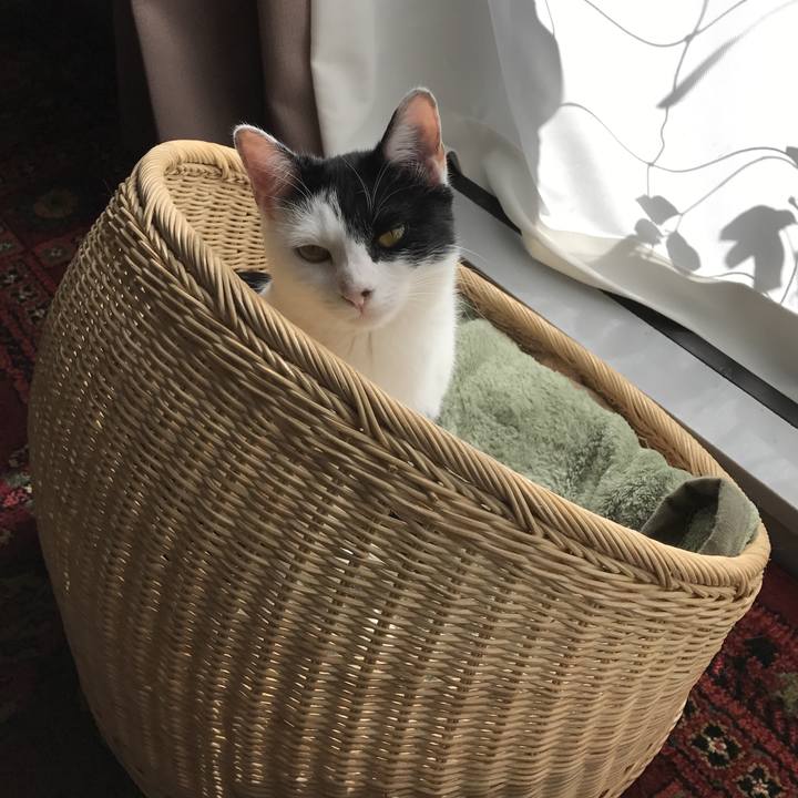 C9fe0c61 f6cd 4910 85dc 1c2cc10a22aa