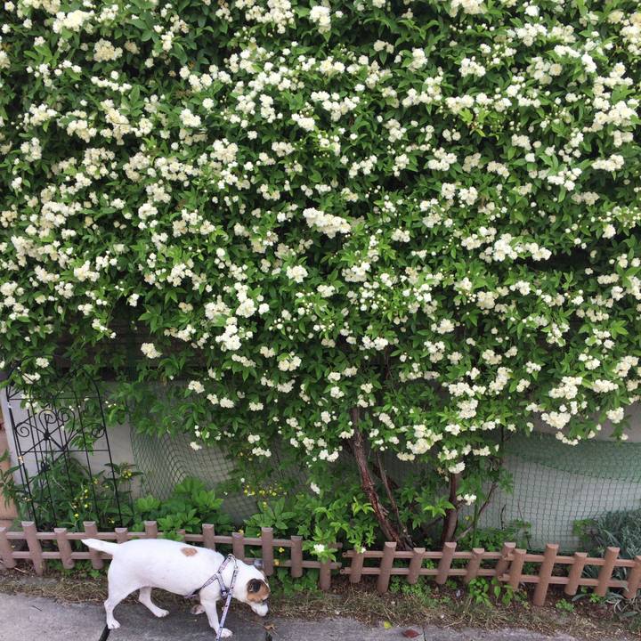 C9fe193a 5f2c 4787 a09e a7f79ee2bb9c