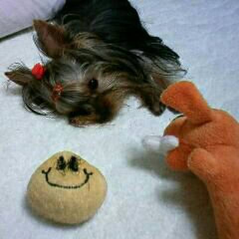 C9fe7af4 6711 46d8 9250 0fb615fb57d9