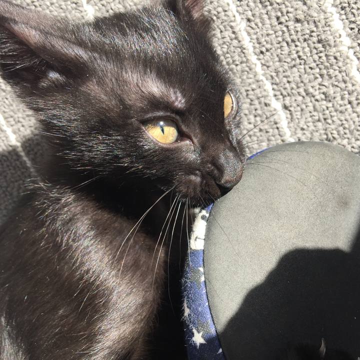 C9fedd1f 9b0a 49bf b8fa acb5db3d0883