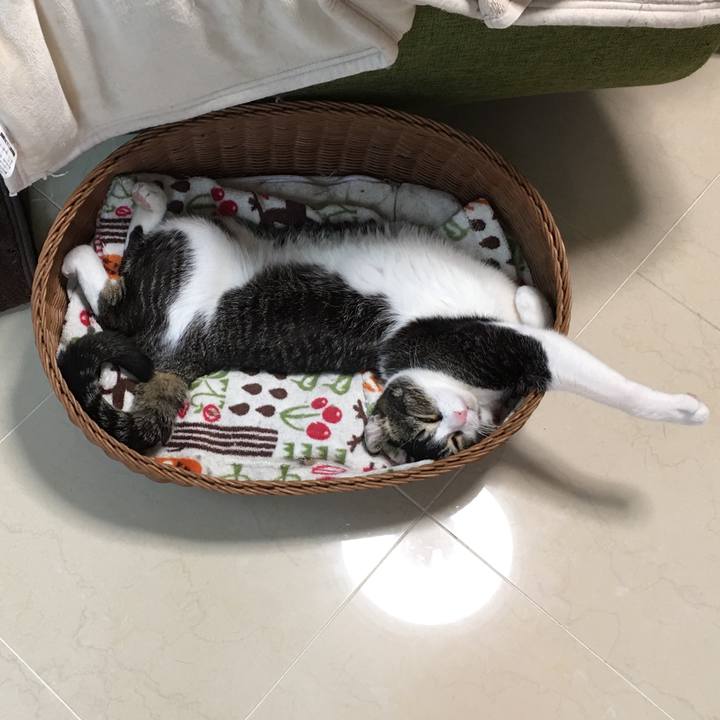 C9ff588a 120e 43b4 96d4 52c481df24ee