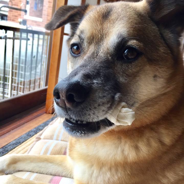 C9ffb643 2dec 4ff7 a9e2 a2325bf02e78