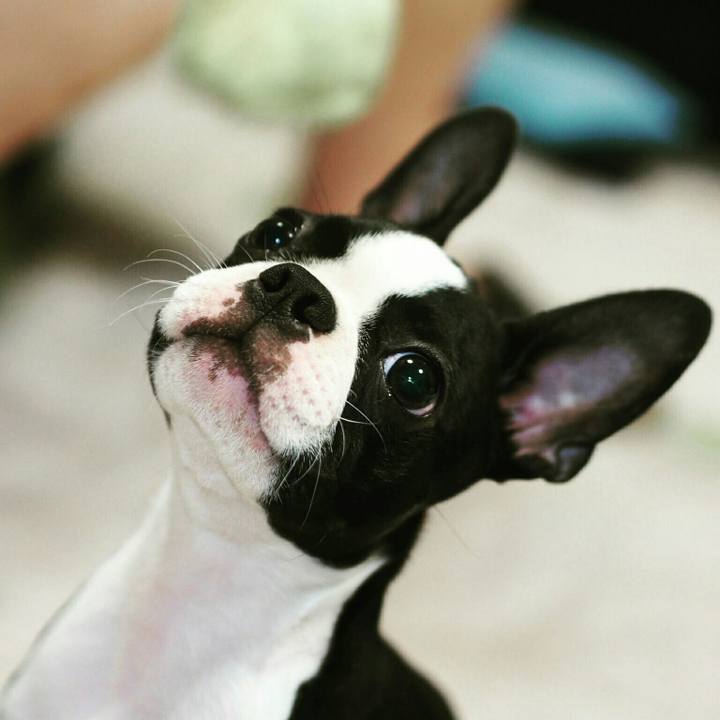 C9ffc918 318a 4b7d 8680 14aaa4bf7851