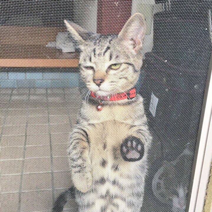 Ca0054ba b843 4f94 ab26 accc0f10bac0