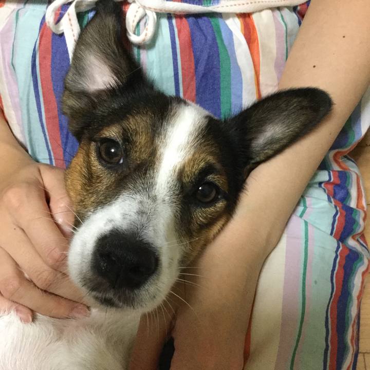 Ca00bbd3 cf89 4852 91bf e7b43bc99902