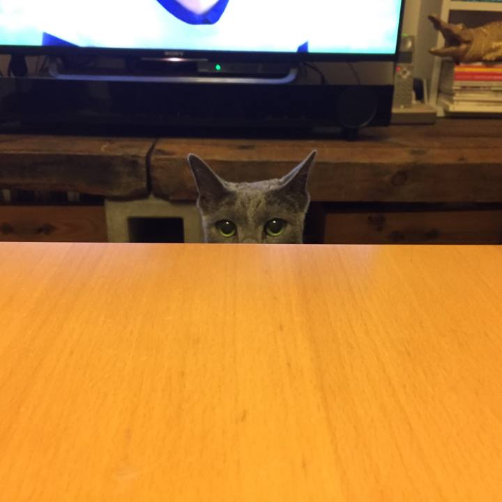 Ca010e84 8630 46da 9799 7e5b6569ad05