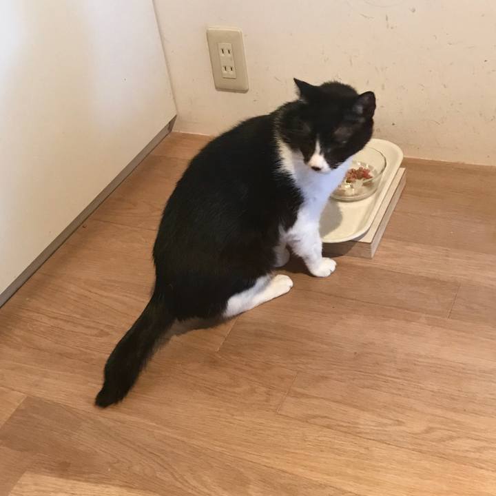 Ca014f1c c09f 4936 bea6 dc4eeaca7f42