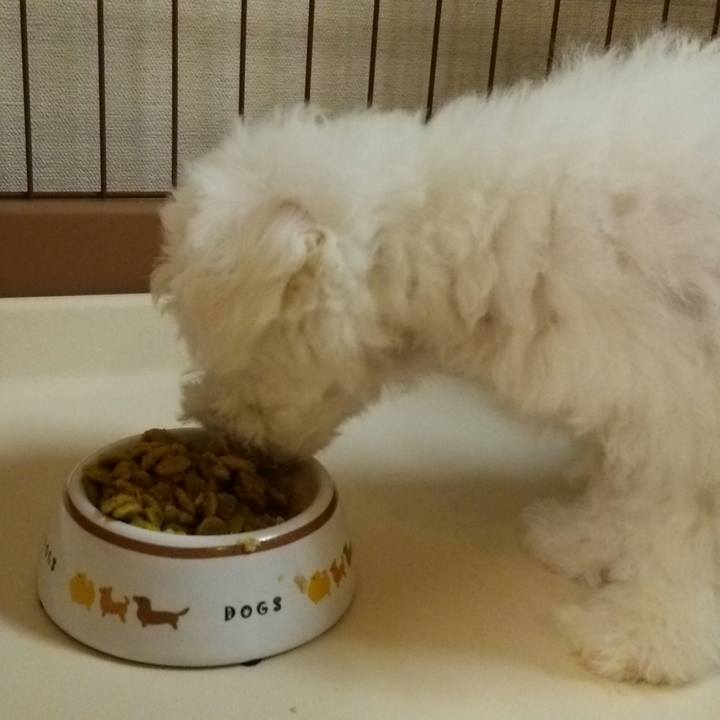 Ca019220 11f9 4bef 8713 deed1d529b47