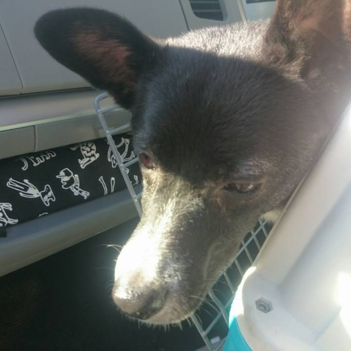 Ca01aa49 80fb 454f 8318 7121925069ab