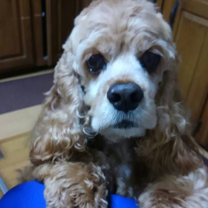 Ca01bb6c 09ae 49ef a44e aa98e300754f