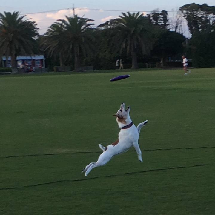 Ca01c2fd 0b0f 407d bc92 31ae08a66b6d